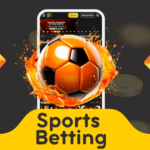 IPL Betting Guide 2026: How to Use 96 Game & Download 96in APK Safely